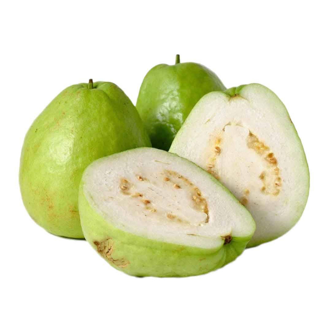 GUAYABA X Libra