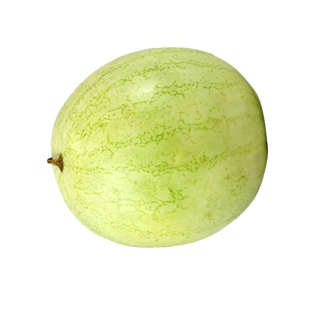 SANDIA X UND