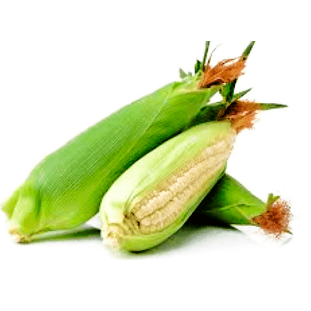 ELOTES En Bolsa 5 Unidades