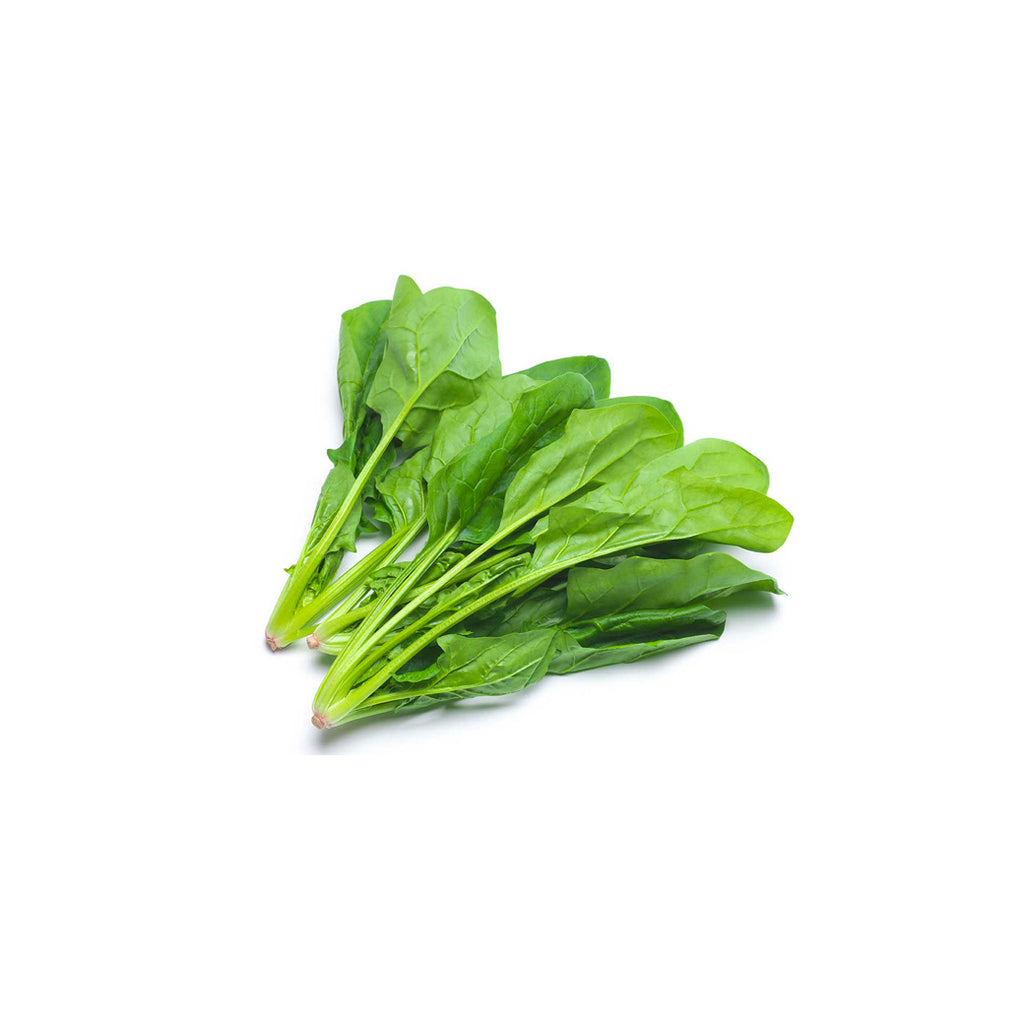 Espinaca criolla HND Mazo