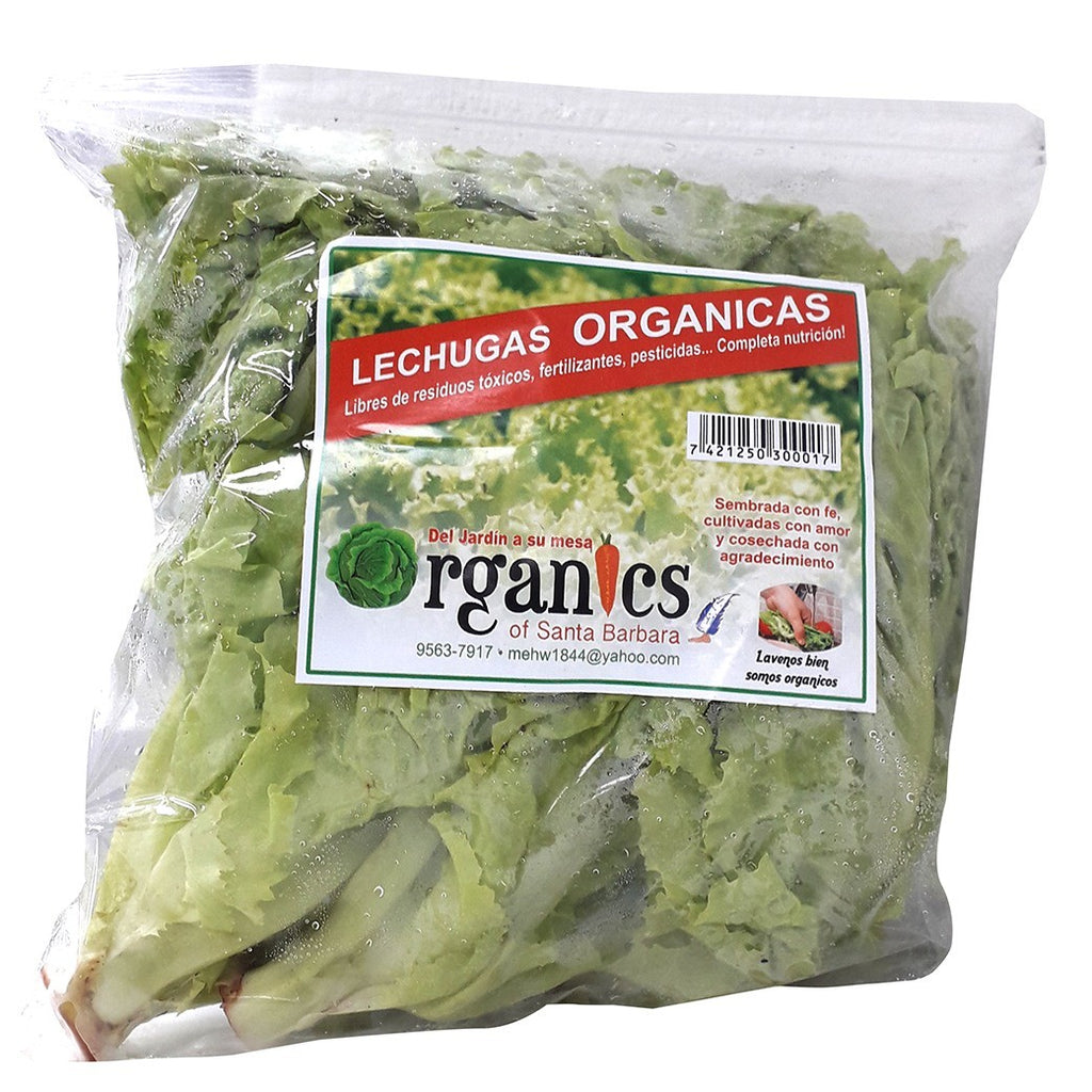 ORGANICS Lechuga De Hoja 12onz